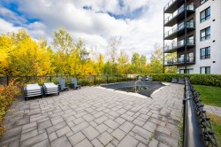 Pool - 