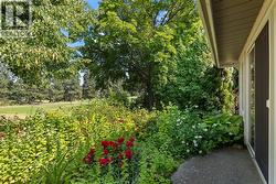 Patio Surrounded by Mature Landscaping - 