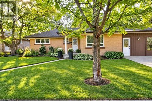 3 Oakwood Avenue, Kitchener, ON 