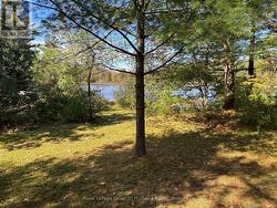 1345 HIGHWAY 118 EAST Bracebridge (Draper), ON P1L 1X1