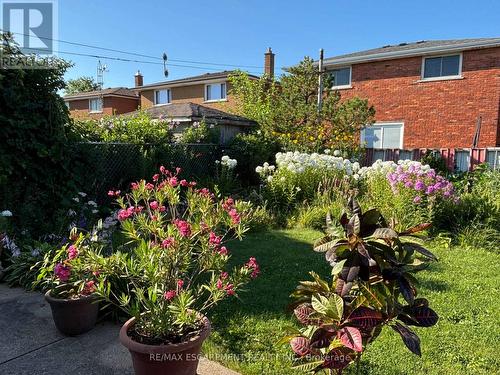 Summer photo of perennial gardens - 36 Algonquin Court, Hamilton, ON 