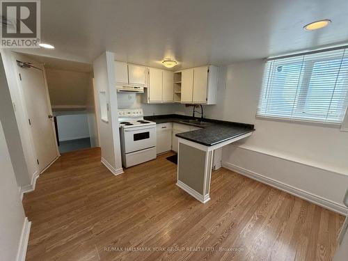 LOWER - 43 WALTER AVENUE , Newmarket, Ontario L3Y 2T2 2
