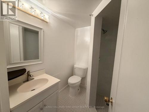 LOWER - 43 WALTER AVENUE , Newmarket, Ontario L3Y 2T2 4