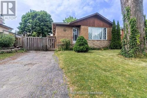 MAIN - 188 CONFEDERATION DRIVE , Toronto, Ontario M1G 1B1