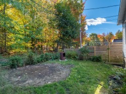 Courtyard - 