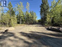 PROP LOT 2 BUTTE ROAD 100 Mile House, BC V0K 1X0