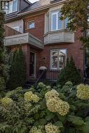 41 CHICORA AVENUE Toronto, ON M5R 1T7
