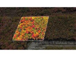 Lot Skiers Lane Central Hainesville, NB E6E 2K2