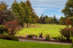 #106-5329 Cordova Bay Rd Saanich, BC V8Y 2L3