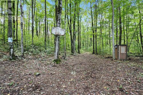 2442 Champlain Road, Tiny, ON 
