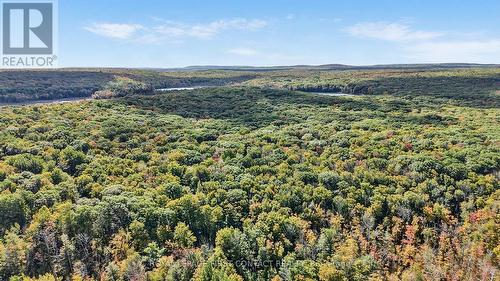 2442 Champlain Road, Tiny, ON 