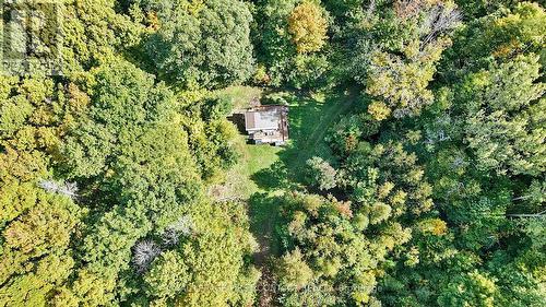 2442 Champlain Road, Tiny, ON 