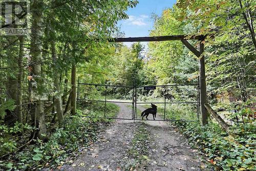2442 Champlain Road, Tiny, ON 