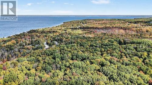 2442 Champlain Road, Tiny, ON 