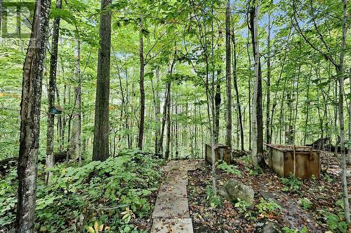 2442 Champlain Road, Tiny, ON 