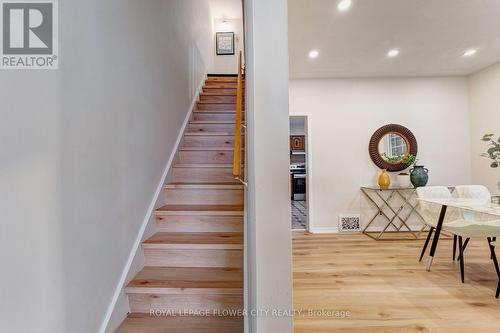 11 Mcneil Street, Hamilton, ON 