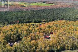 573042 SIDE ROAD 57A  Grey Highlands, ON N0C 1A0