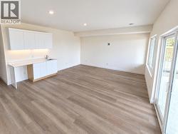 Downstairs Rec Room with wet bar (Still under construction) - 