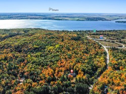 View - 