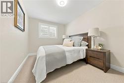 Plush carpet flooring, neutral wall tones, window with white plantation shutters, and a ceiling-mounted light fixture - 