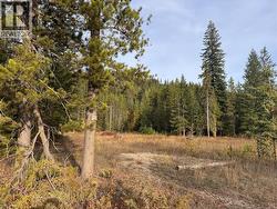 2710 Big Bend Highway Golden, BC V0A 1H1