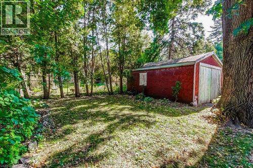 Mature wooded lot with established trees providing natural privacy and shade - 43 Rosslyn Avenue S, Hamilton, ON 