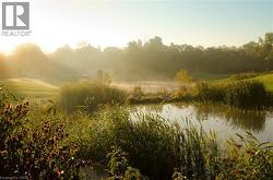 Tranquil pond with surrounding natural foliage - 