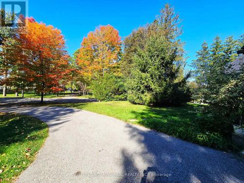 501 SUNSET BEACH ROAD , Richmond Hill, Ontario L4E 3J3 3