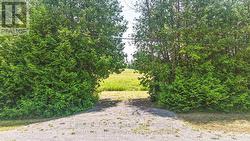 0 CON 10 LOT 5 OLD NORWOOD ROAD Havelock-Belmont-Methuen (Belmont-Methuen), ON K0L 1Z0