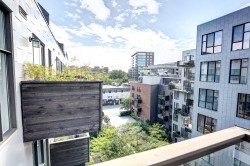 Terrasse - 