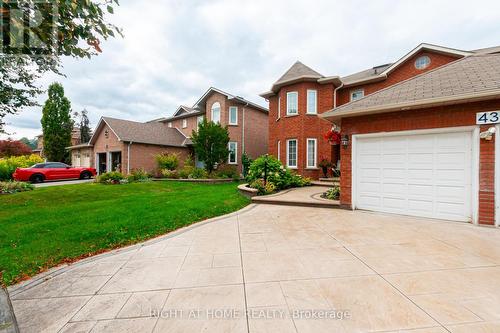 BASEMENT - 43 GREENBUSH PLACE , Whitby, Ontario L1R 1T6 3