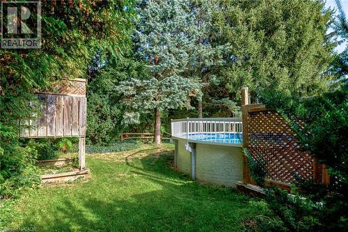 Outdoor above-ground pool with white railing, surrounded by mature trees and greenery - 8 Bonnylyn Drive, Kitchener, ON 