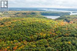 ACROSS FROM 1210 ROSTREVOR ROAD Muskoka Lakes (Watt), ON P0B 1P0