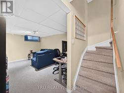 Basement - 