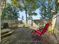 Backyard - 