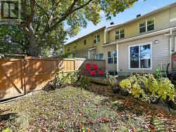 Backyard - 