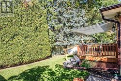 Private backyard - 
