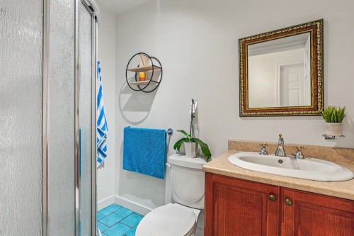Salle d'eau - 30 Rue Du Midi, Morin-Heights, QC - Indoor Photo Showing Bathroom