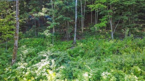 Terre/Terrain - 49-720 Ch. De Gaspé, Bromont, QC 