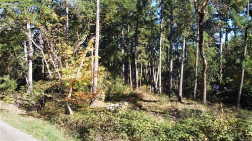 164 Pirates Lane, Protection Island, BC 