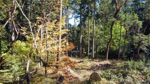 164 Pirates Lane, Protection Island, BC 