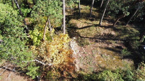 164 Pirates Lane, Protection Island, BC 