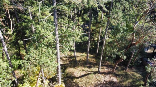 164 Pirates Lane, Protection Island, BC 
