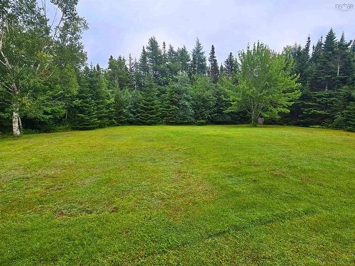 21 Lakefront Drive, Loch Lomond, NS - Outdoor