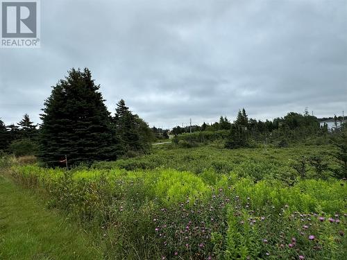 17A Crowes Lane, Torbay, NL 