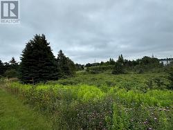 17A Crowes Lane  Torbay, NL A1K 1H5