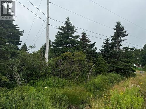 17A Crowes Lane, Torbay, NL 