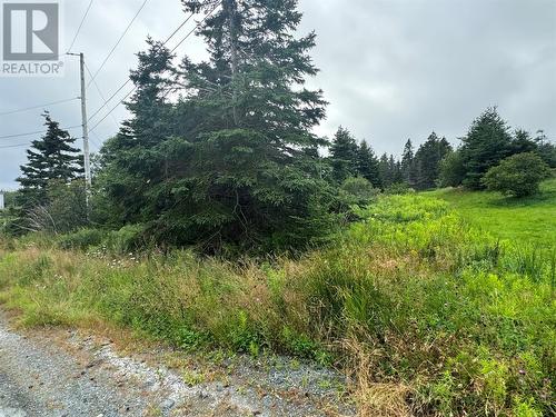 17A Crowes Lane, Torbay, NL 