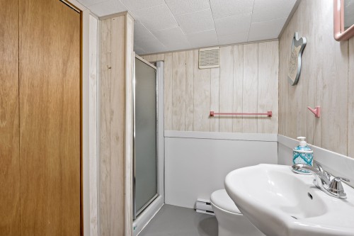 Bathroom - 2386 Rue St-Charles, Val-David, QC - Indoor Photo Showing Bathroom