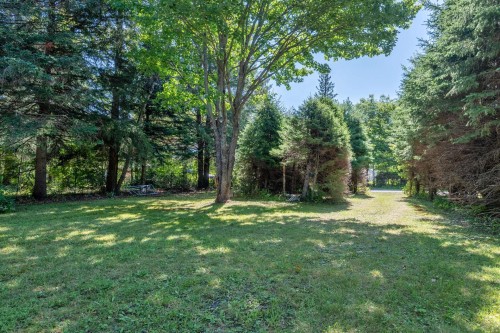 Courtyard - 2386 Rue St-Charles, Val-David, QC - Outdoor